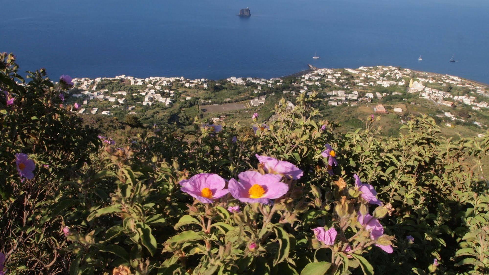 Il Vulcano A Piedi Hotell Stromboli Exteriör bild